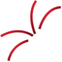 ACP